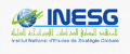Logo for INESG – Institut national d’études de stratégie globale