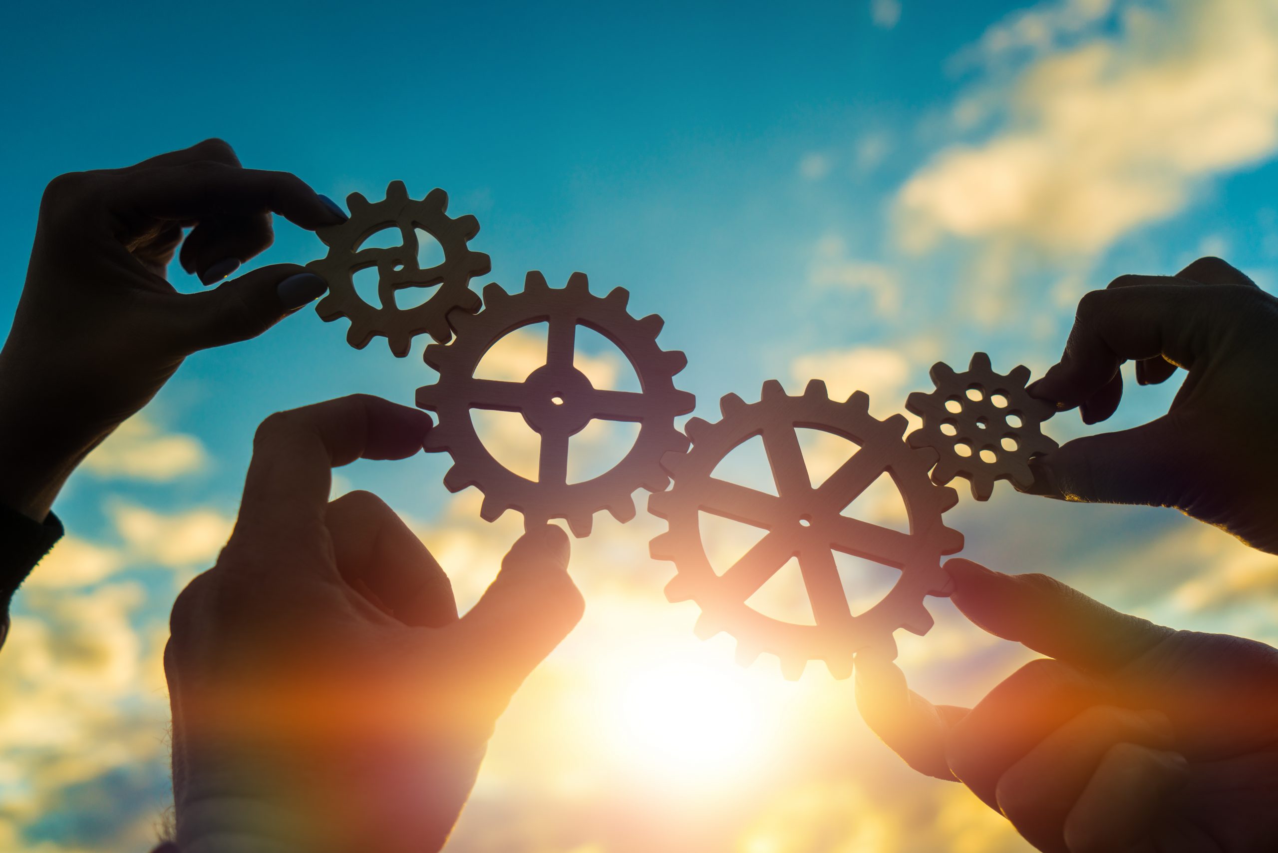 Assessing the Job Creation Potential of the Social Economy in the MENA Region