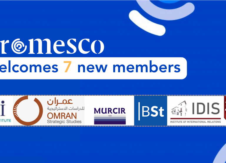 Seven institutions join EuroMeSCo as full members