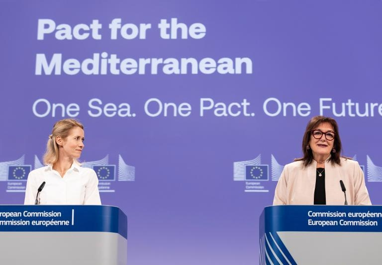 EuroMeSCo contributions reflected in the Pact for the Mediterranean