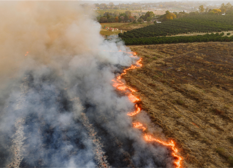 Fostering regional cooperation on natural disasters and crisis management in the Mediterranean