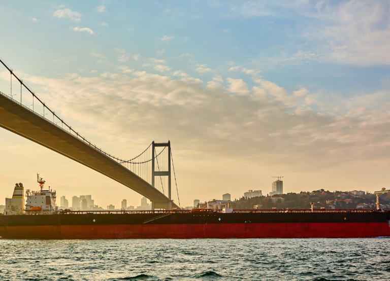 EU trade relations with Southern Mediterranean partners in times of crisis or conflict