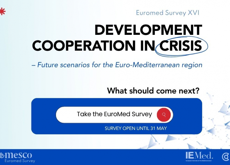 Euromed Survey 2026 | Rethinking development cooperation in times of decline